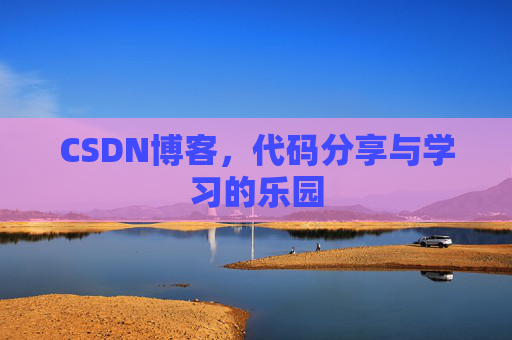 CSDN博客，代码分享与学习的乐园